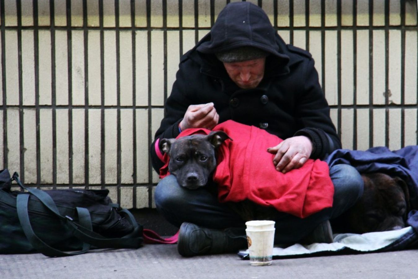 Homeless man with dog on lap sitting on a pavement