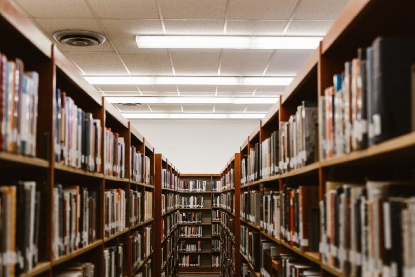 Bookshelves in modern library