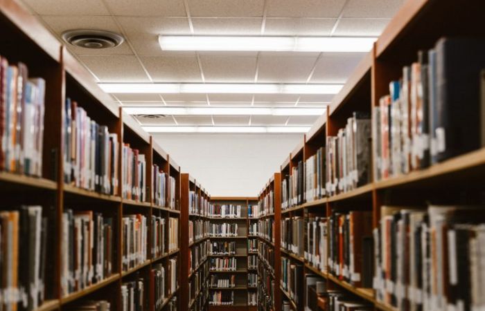 Bookshelves in modern library
